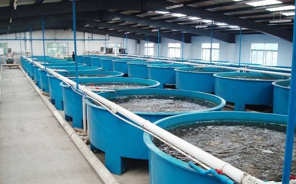 玻璃鋼海水養殖設備